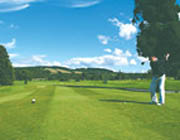 Faithlegg House Hotel & Golf Resort