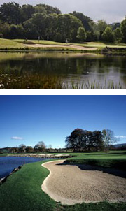 Tulfarris Hotel & Golf Resort