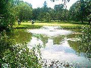Kidderminster Golf Club