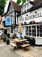 The Bluebell