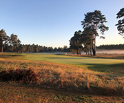 Hankley Common Golf Club