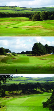 Delamere Forest Golf Club
