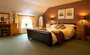 The Ganton Greyhound