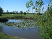 Newport Golf Club