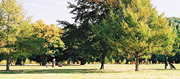 Croham Hurst Golf Club