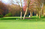 Alfreton Golf Club