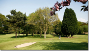 Lavender Park Golf Club