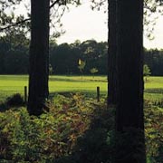 Moors Valley Golf Club