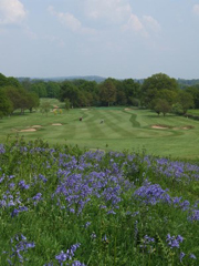 Betchworth Park Golf Club