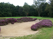 Liphook Golf Club