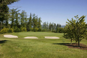 Carrick-on-Suir Golf Club