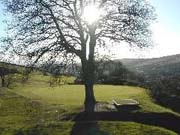 Vale of Leven Golf Club