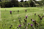 Hockley Golf Club