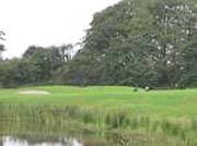 Newbridge Golf Club