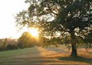 Alderley Edge Golf Club