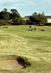 Panmure Golf Club