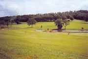 Raglan Parc Golf Club