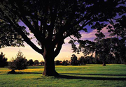 Meon Valley Hotel Golf & Country Club