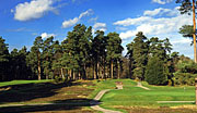 Swinley Forest Golf Club
