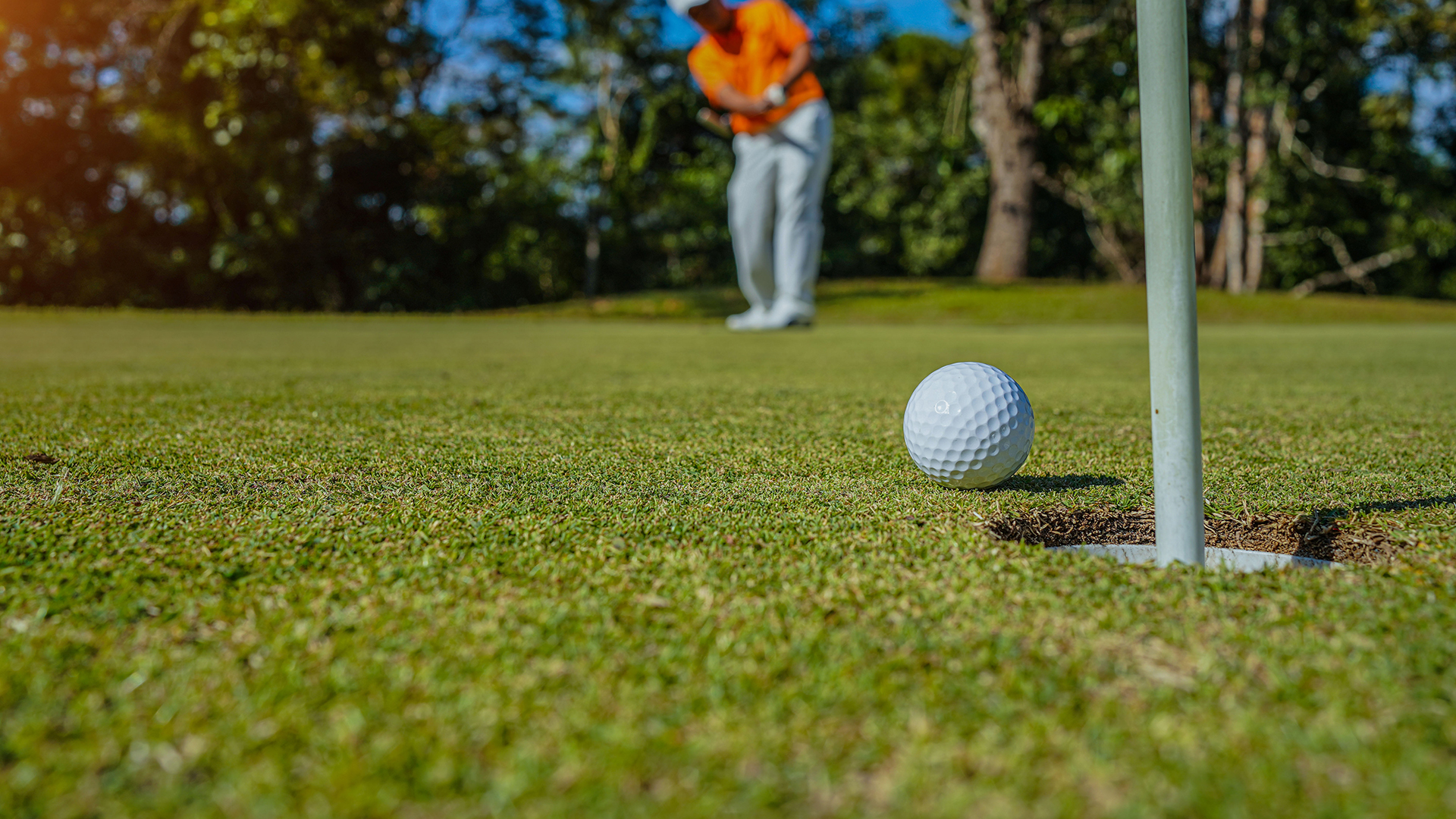 College Pines Golf Club Nottinghamshire